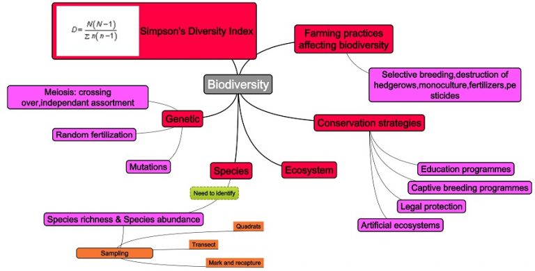 Mind Map Biodiversity The A Level Biologist Your Hub