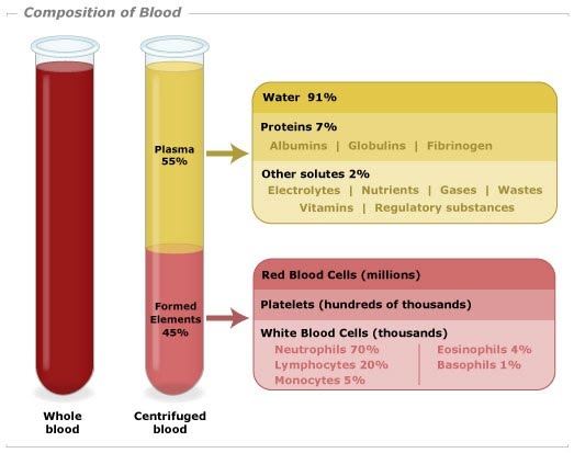 Water and its importance in plants and animals | The A Level Biologist ...