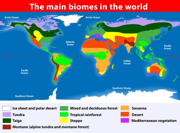 ð Biomes | The A Level Biologist - Your Hub ð±