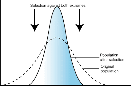 both_extremes | The A Level Biologist - Your Hub
