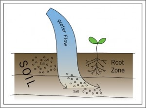 leaching definition